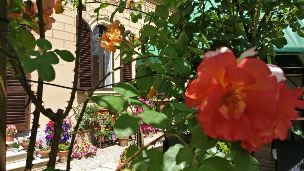 La Chicca B&B Siena Esterno foto